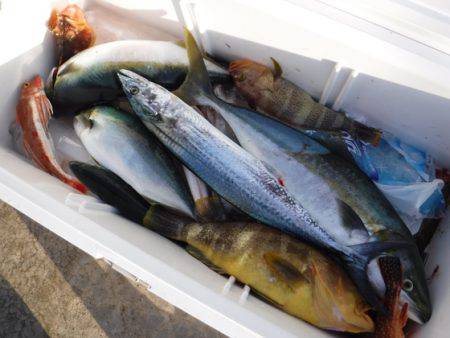 BlueNote Fishing Taxi 釣果