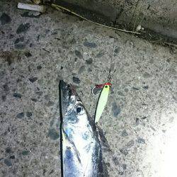 満員御礼 小太刀狩り