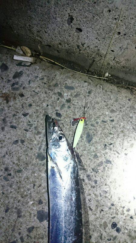 満員御礼 小太刀狩り