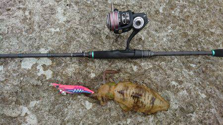 ちょいとエギング