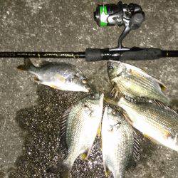 キビレに癒されて