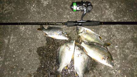 キビレに癒されて