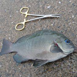 嵐の中でも釣り