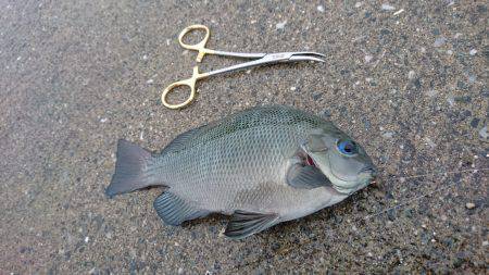 嵐の中でも釣り