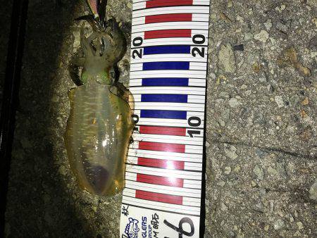 釣れて良かった・・