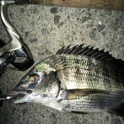 調子乗っちゃって！