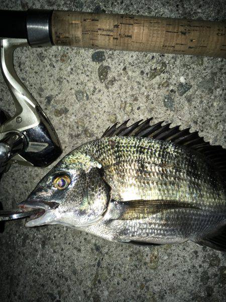 調子乗っちゃって！