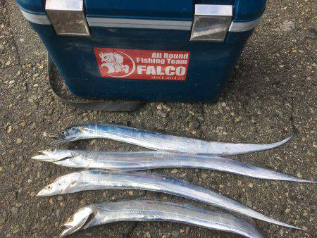 マイポイントで朝練