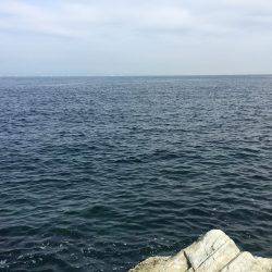 大物釣りたい！