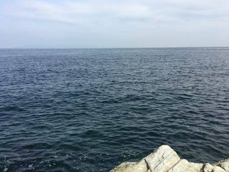 大物釣りたい！