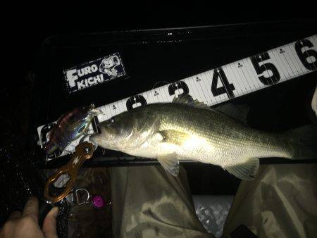 南湖フローター釣行