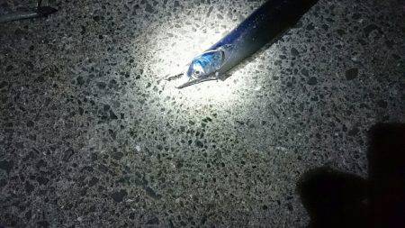 青物ゲットならず(T-T)