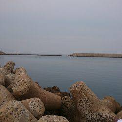 ショアジギング