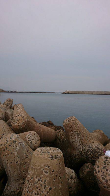 ショアジギング