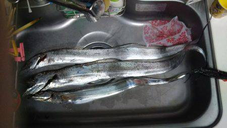 めっちゃええサイズ