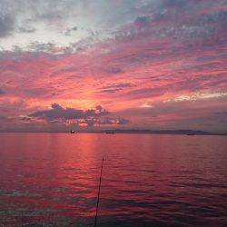 今年初タチウオ