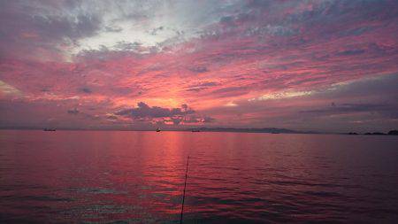 今年初タチウオ