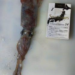 ようやくゲット✨