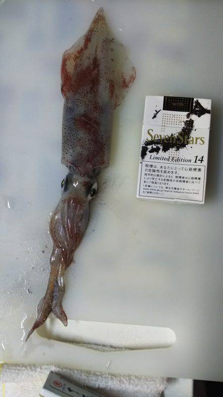 ようやくゲット✨