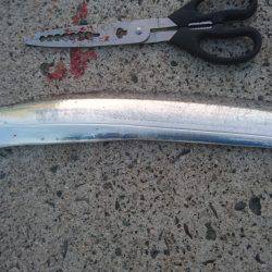 ドラゴン太刀魚