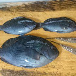 嵐の中でも釣り