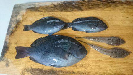 嵐の中でも釣り