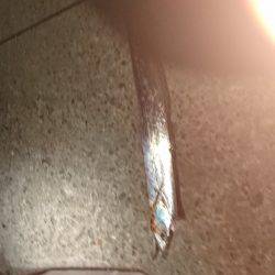 久しぶりのエサ釣り