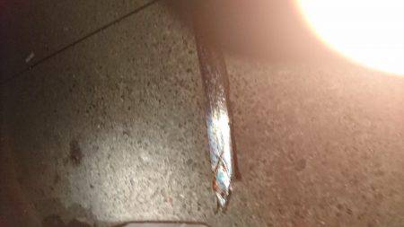 久しぶりのエサ釣り