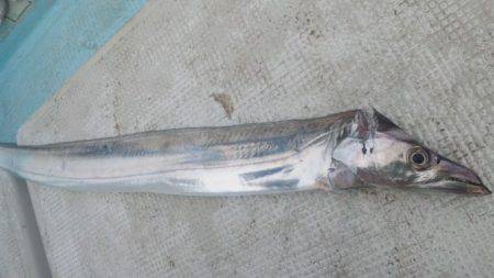 太刀魚釣り
