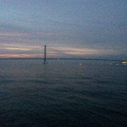 青物不発の剣先イカ健在