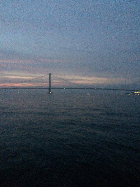 青物不発の剣先イカ健在