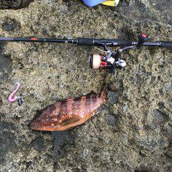 引きに美味にありがとう！