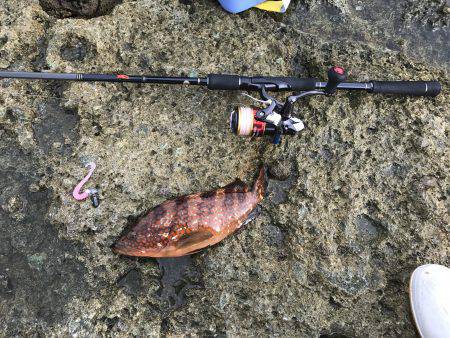 引きに美味にありがとう！