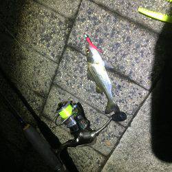 アジではなく、、