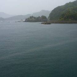 エギングロッドで青物