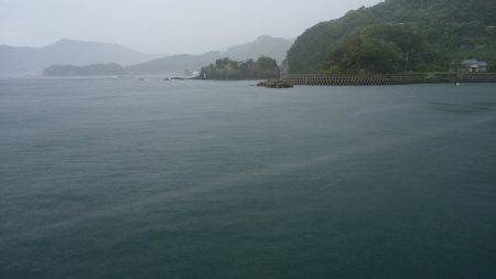 エギングロッドで青物