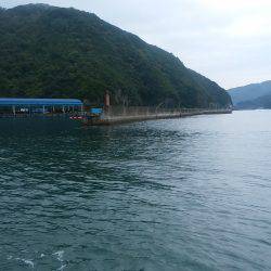 秋イカ　ランガンにて