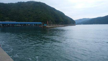 秋イカ　ランガンにて