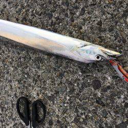 ゆうまづめ釣行