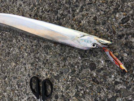 ゆうまづめ釣行