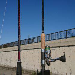 台風後のワインド