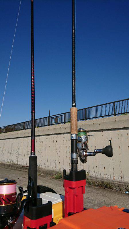 台風後のワインド