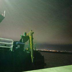 ケーソンでアジングでもと思ったら