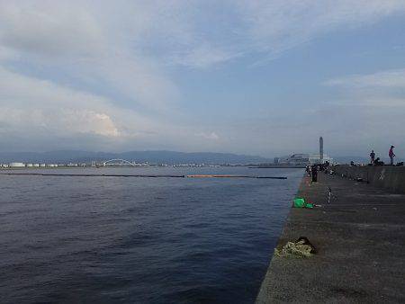 岸和田一文字でナイスサイズのアジget