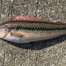 場所が変われば…。