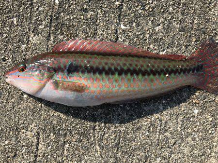 場所が変われば…。