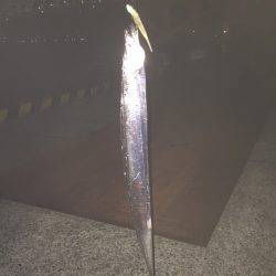 太刀魚リベンジ