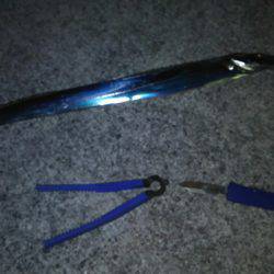 ついにサゴ氏が