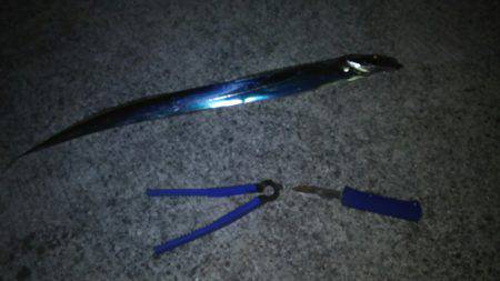 ついにサゴ氏が