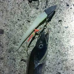 パターンを探して‼